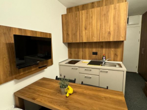 Studio Pablo Vila Bela Reka Brzeće